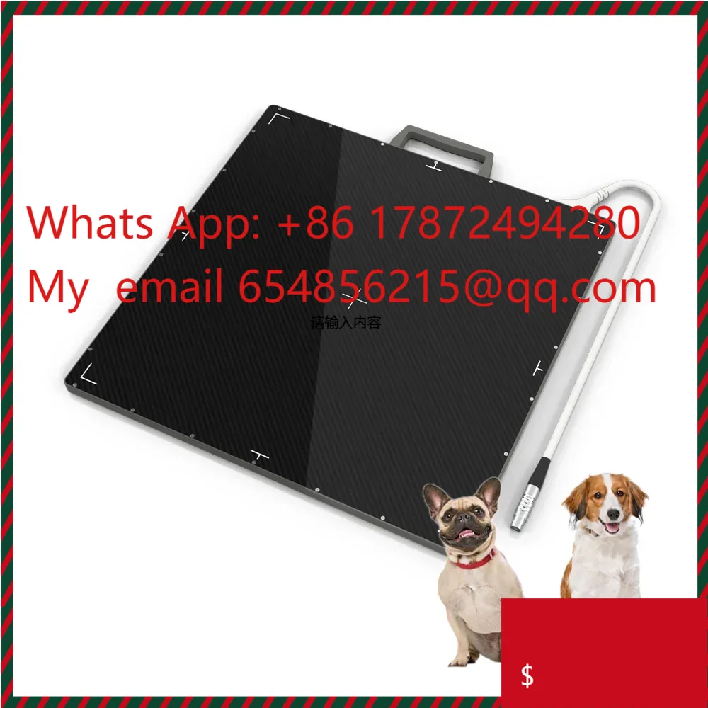 Veterinary DR X-Ray Flat Panel - Medical Lab Images ulasan dan harga