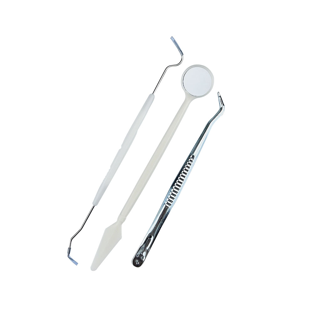 10 bags Dental Tool Kit Stainl - Dental Mirror Probe ulasan dan harga